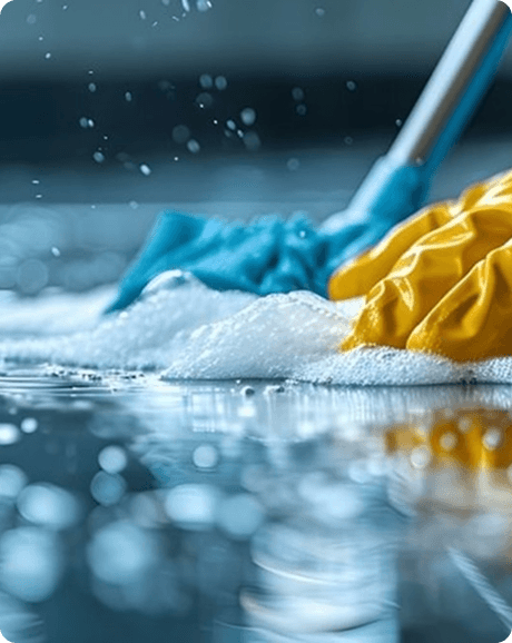 Professional cleaning service