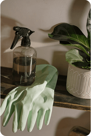 Mophire cleaning professional