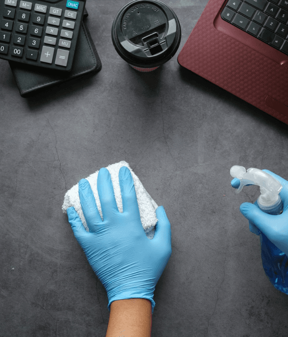 Professional cleaning services